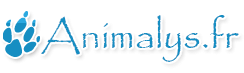 Animalys